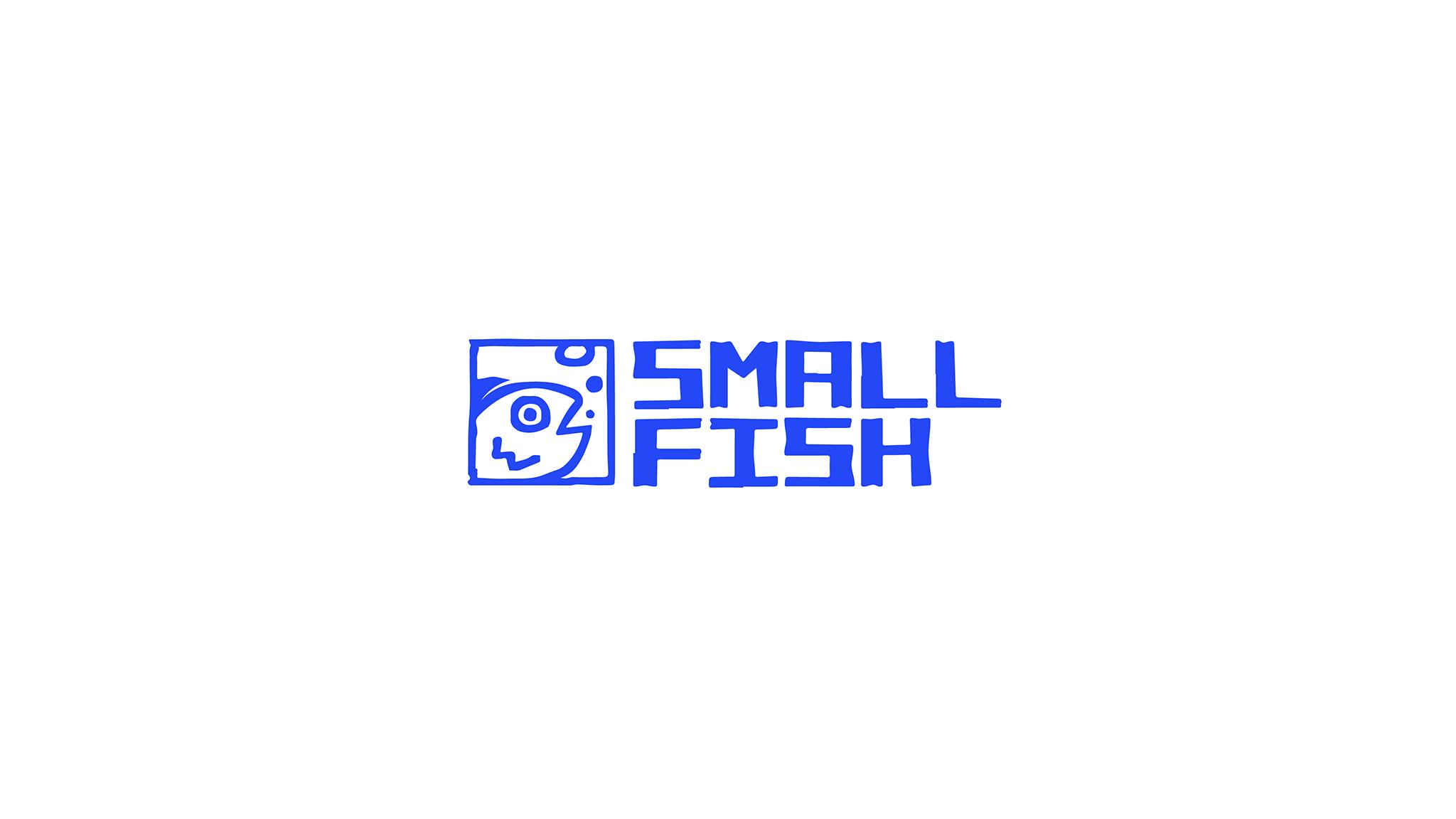 Discovery splash banner for Small Fish Discord server