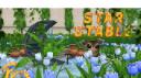Discovery splash banner for Star Stable [FR] Discord server