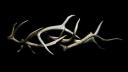 Discovery splash banner for 「𐂂」ノhannibal .  ݁ᛪ༙ Discord server