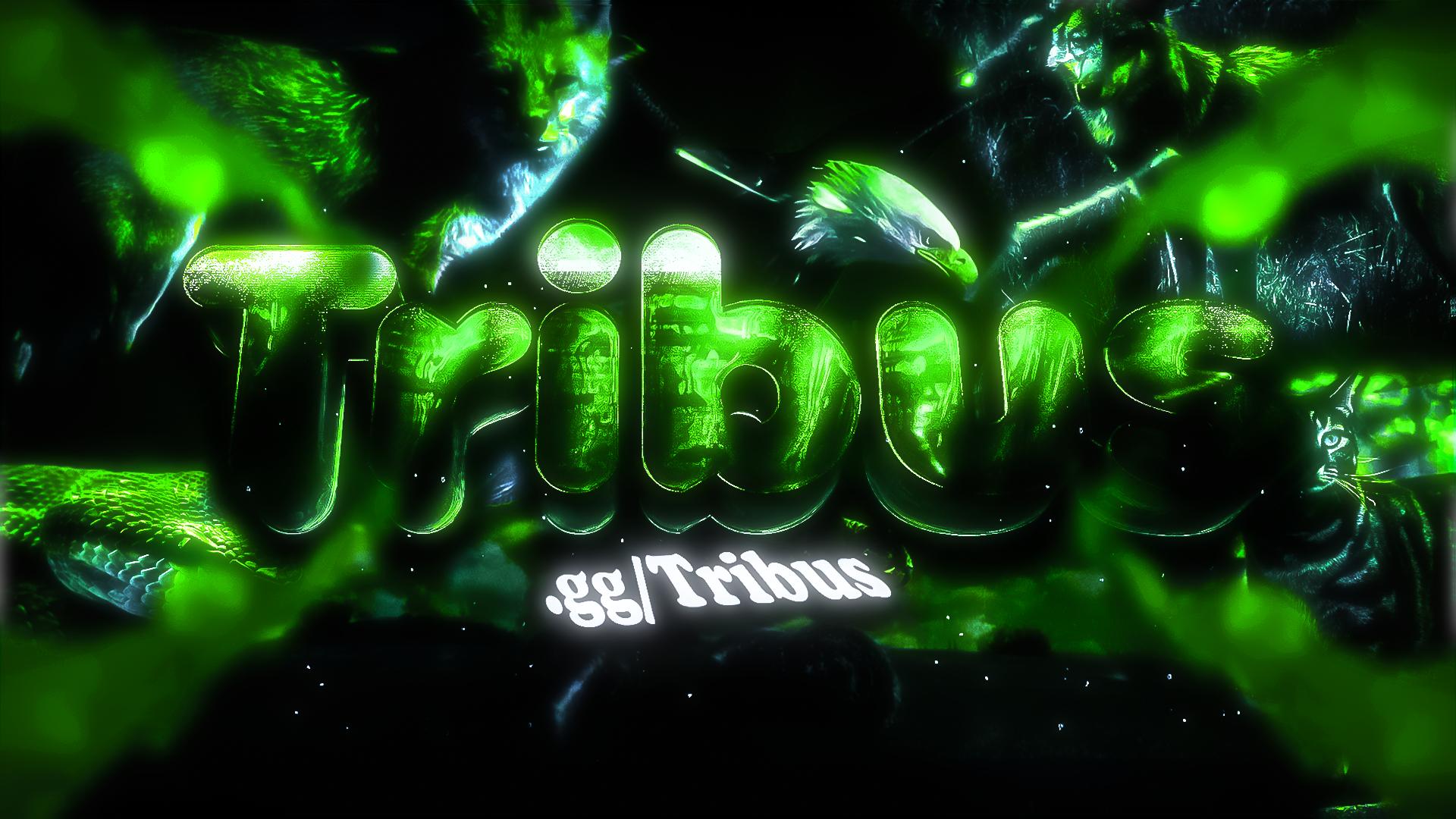 Discovery splash banner for ‧₊˚ 🍀 Les Tribus ⊹₊ Discord server