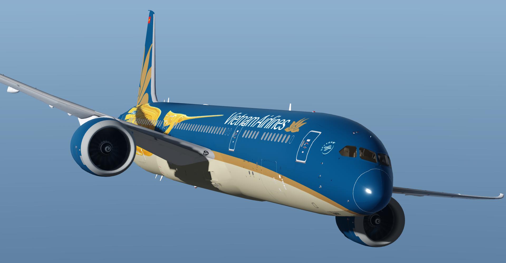 Discovery splash banner for Vietnam Airlines Discord server