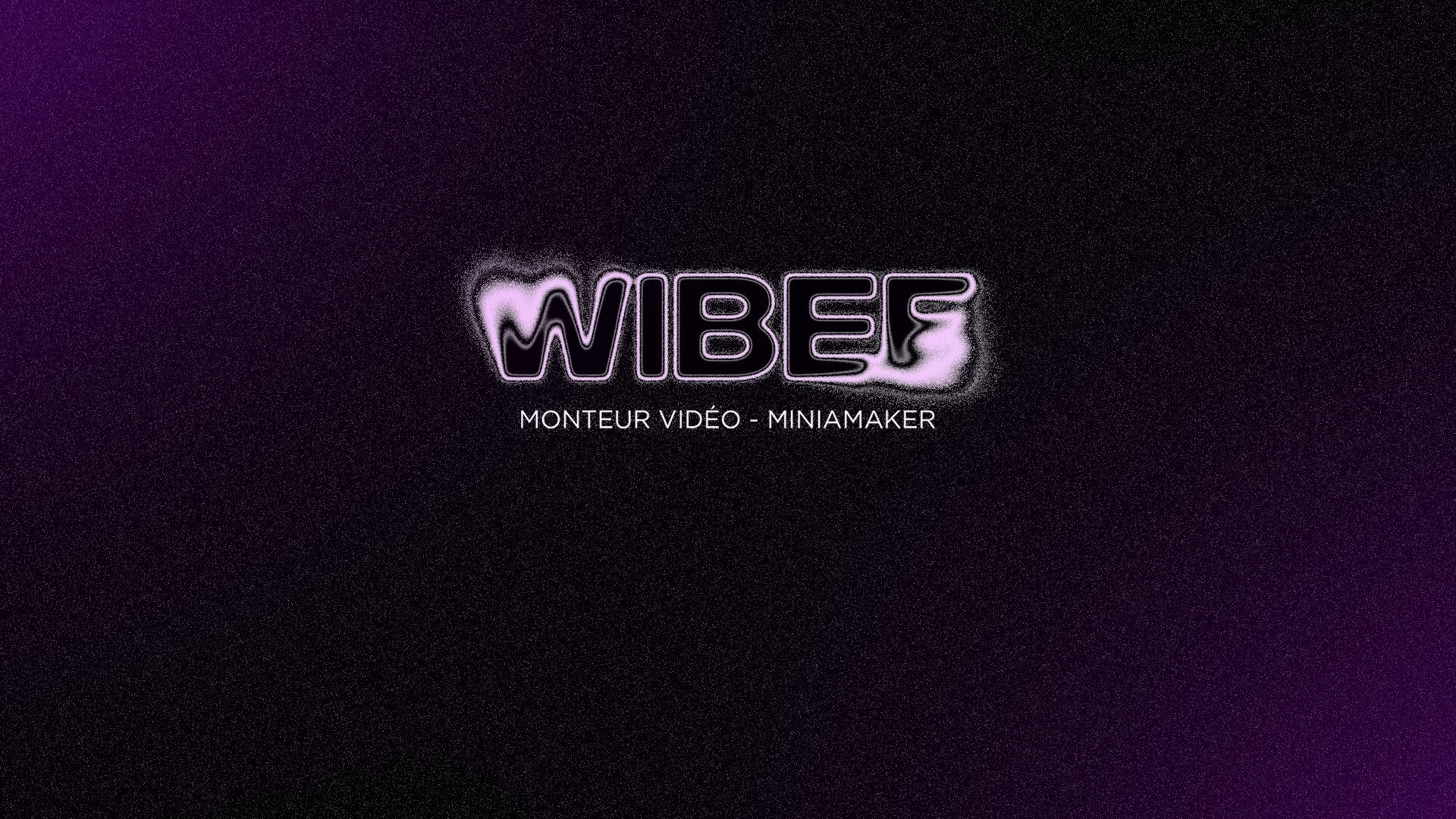 Discovery splash banner for WIBEE - Montage/minias ✨ Discord server