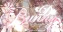 Discovery splash banner for 𝒟𝓉𝒾 ℬunny  ୨𝑒 Discord server