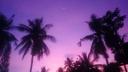 Discovery splash banner for 505 Discord server