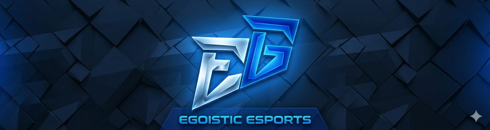 Discovery splash banner for EGOISTIC ESPORTS ๐ฎ๐ณ Discord server