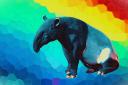 Discovery splash banner for /r/Exmormon Official Discord server