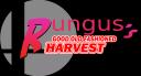 Discovery splash banner for Extremely Gay Harvest Discord server