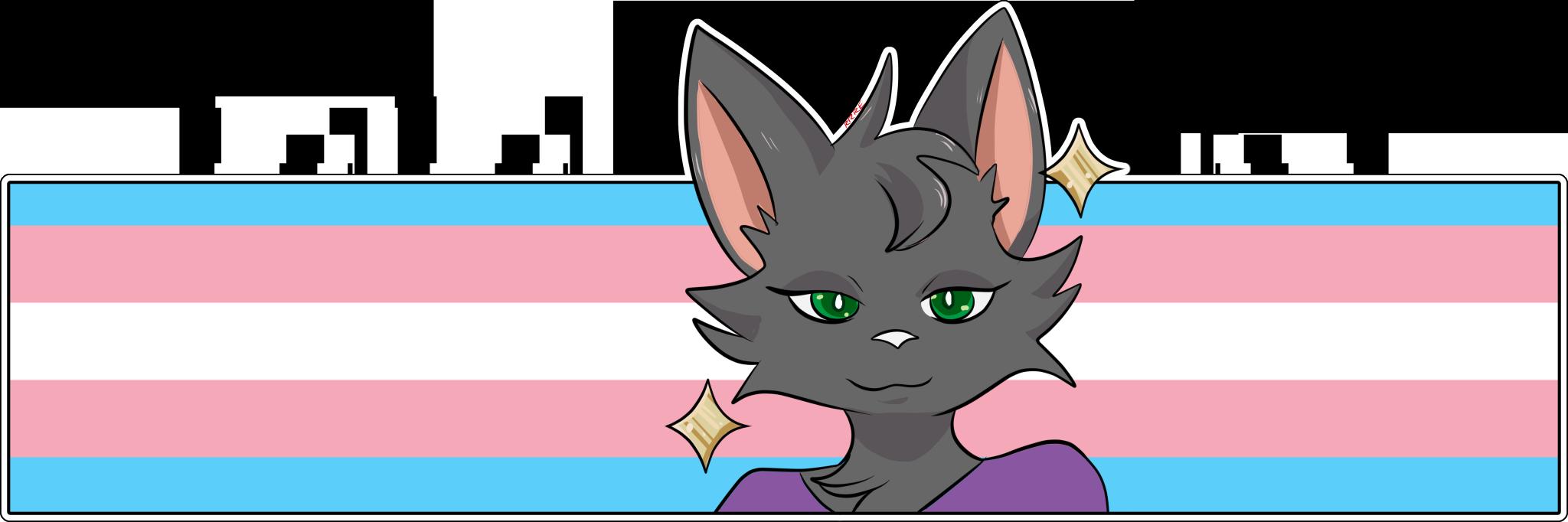 Discovery splash banner for Shaiko's BTD5 Modding Server Discord server