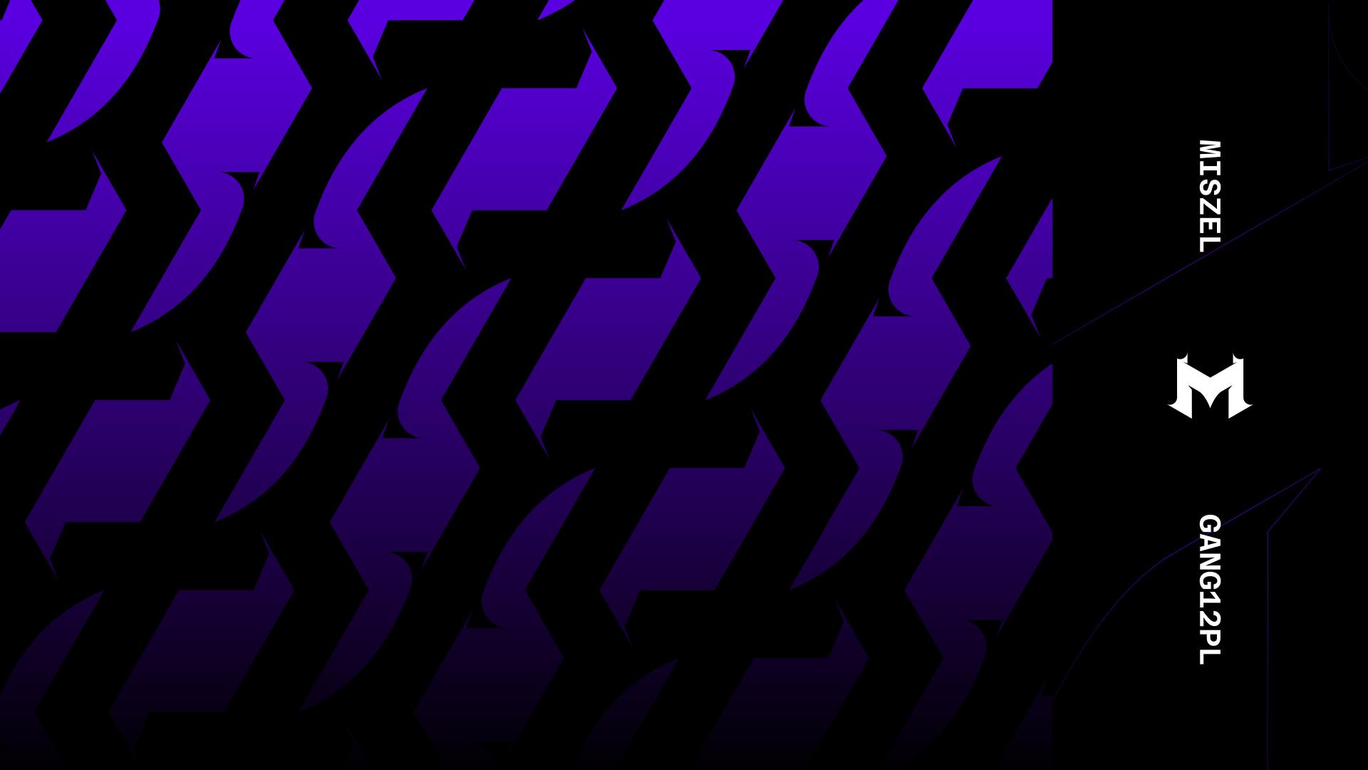Discovery splash banner for GANG12PL Discord server