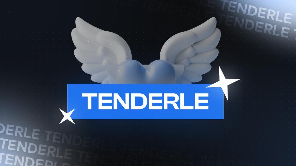 Discovery splash banner for TENDERLE Discord server