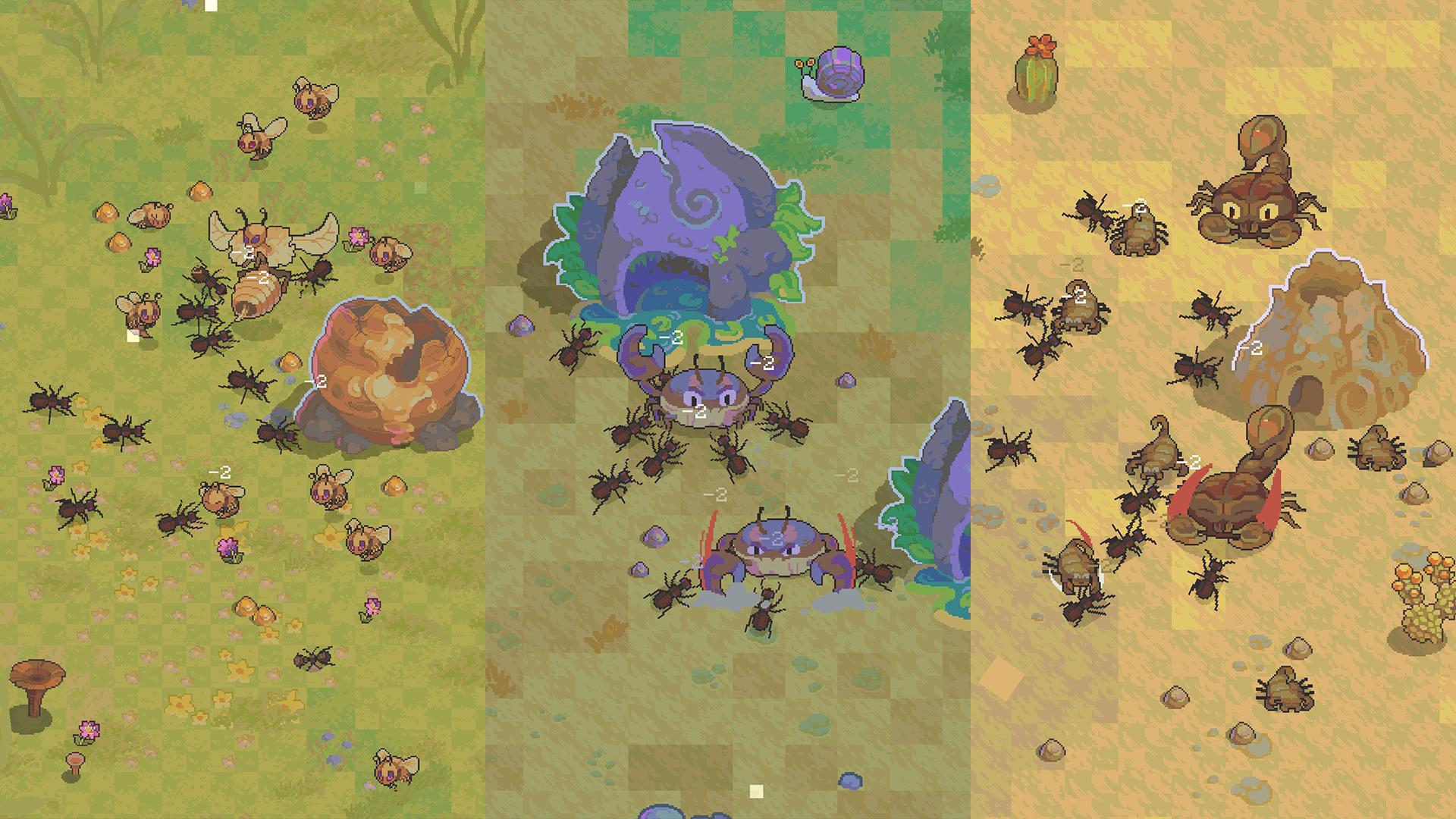 Discovery splash banner for Ant Colony: Wild Forest Discord server
