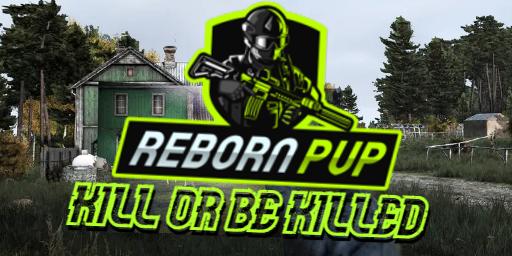Discovery splash banner for RebornPVP Discord server