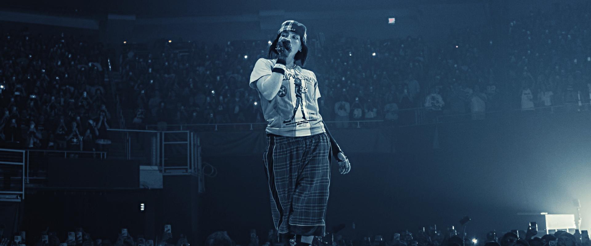 Discovery splash banner for Billie Eilish Discord server