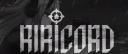 Discovery splash banner for RiRicord. Discord server