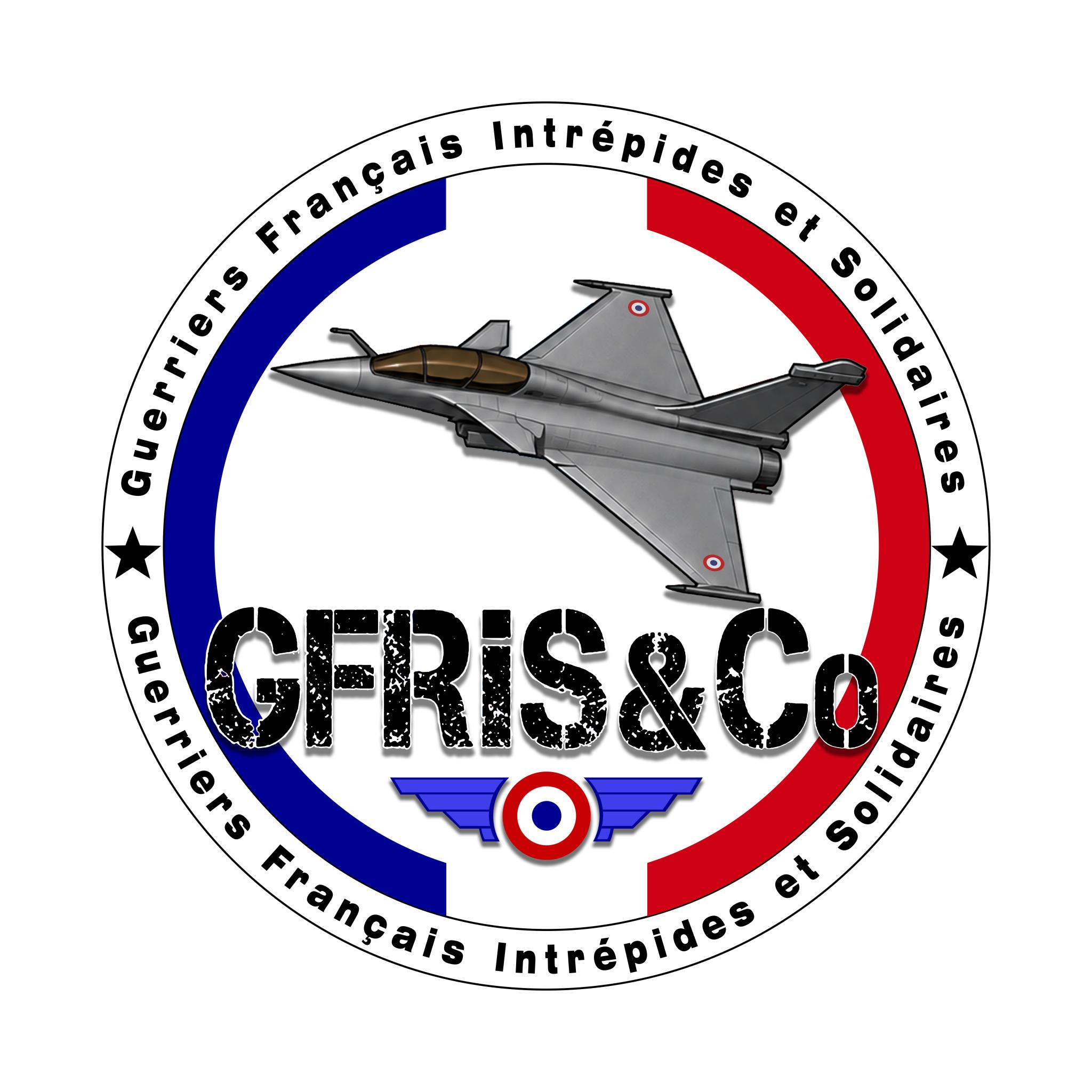 Discovery splash banner for GFRIS & Co Discord server