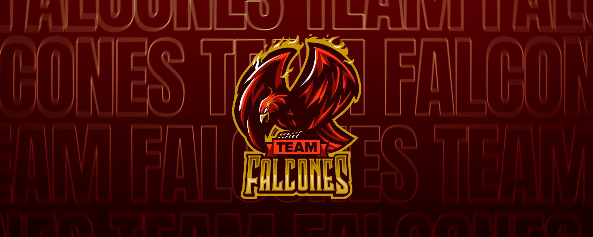 Discovery splash banner for Team Falcones Discord server
