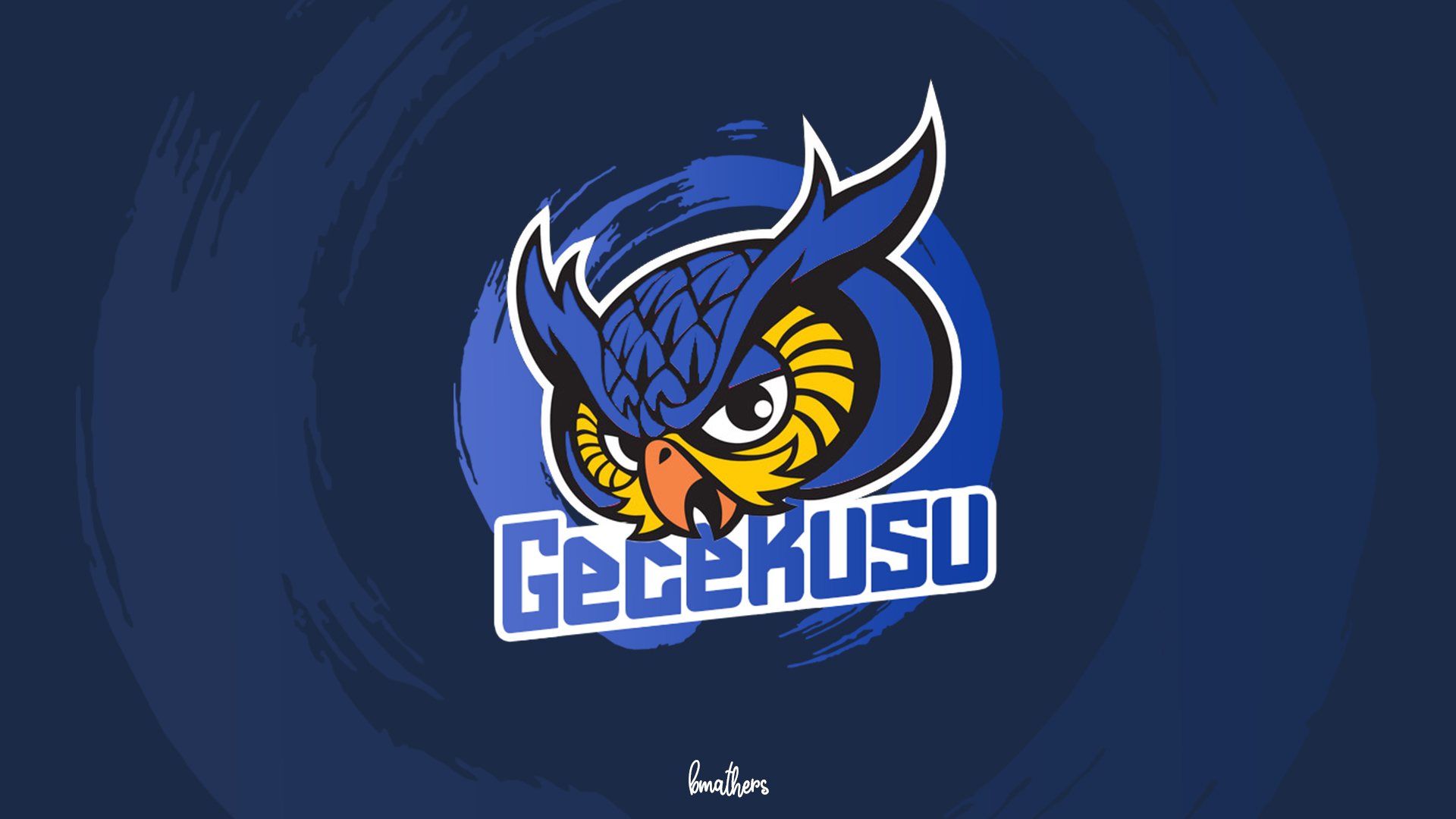 Discovery splash banner for GeceKuşu Discord server