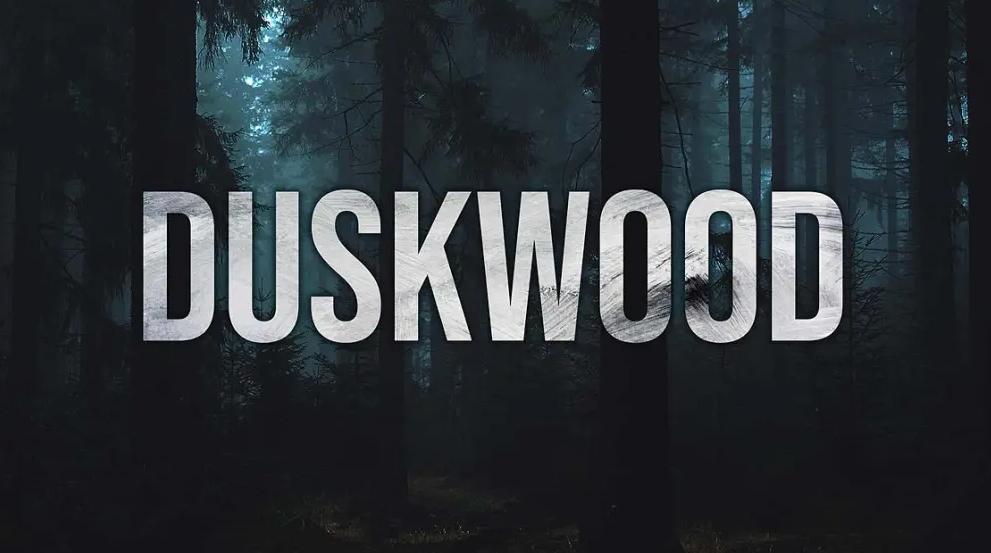 Discovery splash banner for Duskwood & Moonvale Discord server