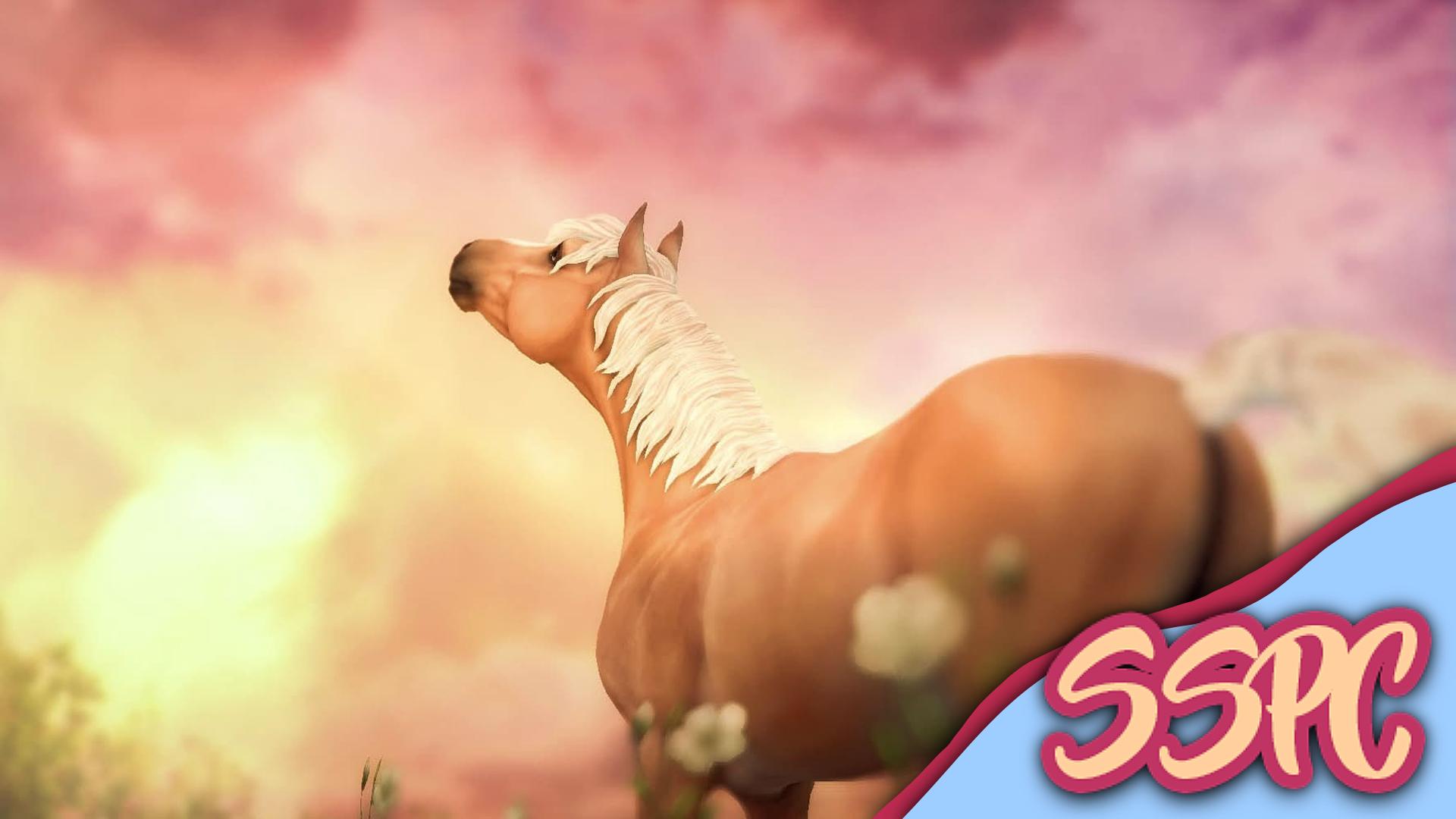Discovery splash banner for Star Stable Photography Center Discord server