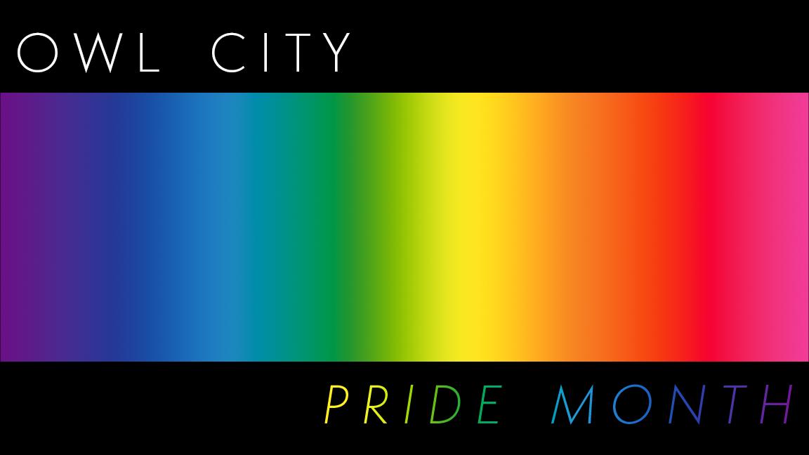 Discovery splash banner for Owl City Discord server