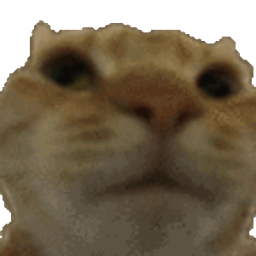 Discovery icon for Cat Hub Discord server