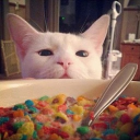 Discovery icon for /cereal social : giveaways Discord server