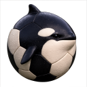 Discovery icon for sorca | HANGOUT & CHILL Discord server