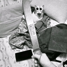 Discovery icon for ໒𓏼 20 times streamers lost control 𓐇✿𓈒 ᩧ Discord server