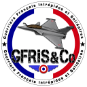Discovery icon for GFRIS & Co Discord server