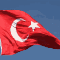 Discovery icon for | TA | Turkish Armed Forces Discord server