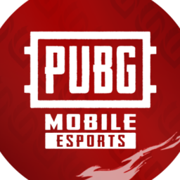 Discovery icon for PUBG MOBILE ESPORTS Discord server