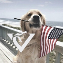 Discovery icon for NKC 🇺🇸 (FOURTH OF JULY!) Discord server