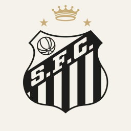 Discovery icon for Santos 🇪🇸🏆 Discord server