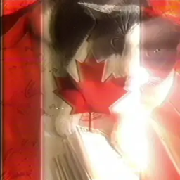 Discovery icon for fat summer cat canadian world Discord server