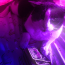 Discovery icon for gay summer world Discord server
